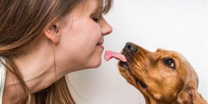 Why Does My Dog Lick Me in the Morning?